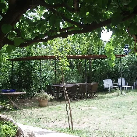 Mas Seguilla
